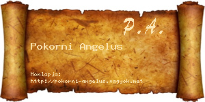 Pokorni Angelus névjegykártya